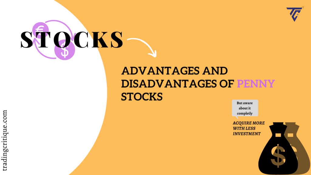 TC_advDisadvOfStocks