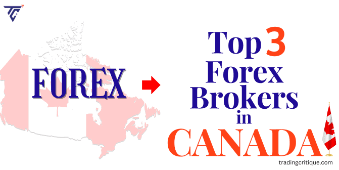 3 Best (Regulated Forex Broker) Canada 2024