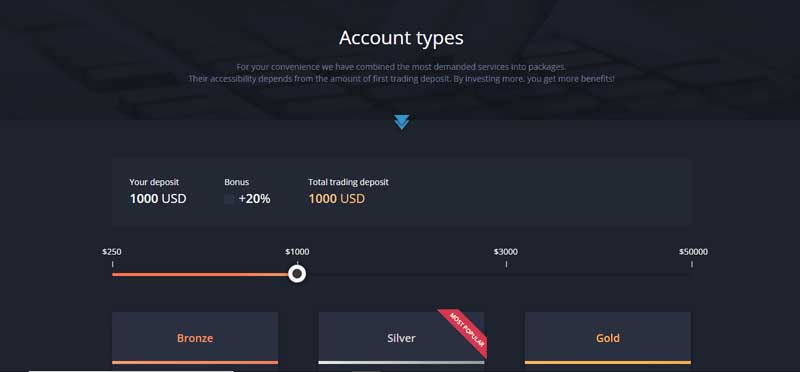 A screenshot that shows the information about Account types on the VIDEFOREX website