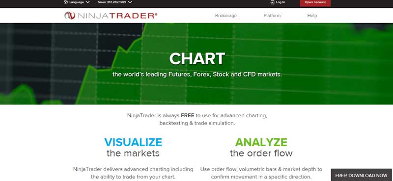 Screenshot of the page which shows the Advance charting on the Ninja Trader website