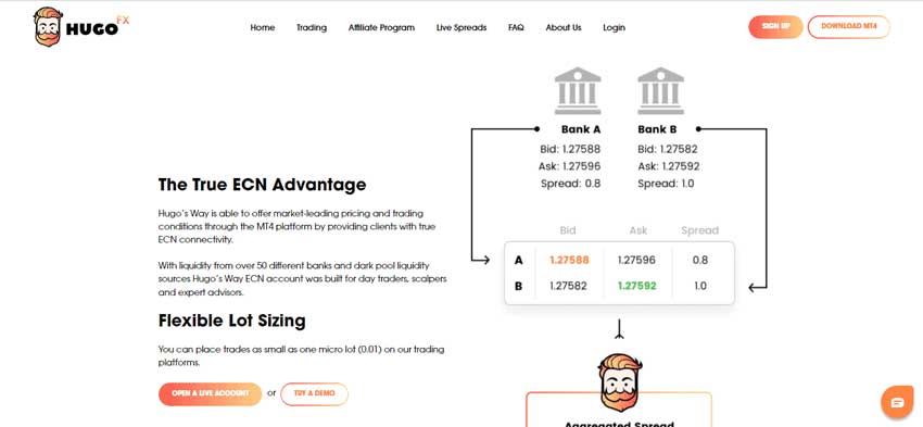 A screenshot of the home page which shows details of the ECN Execution on Hugo’s Way website