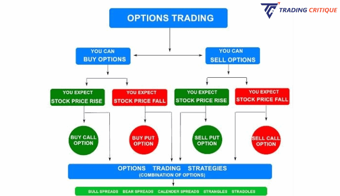 Option Trading