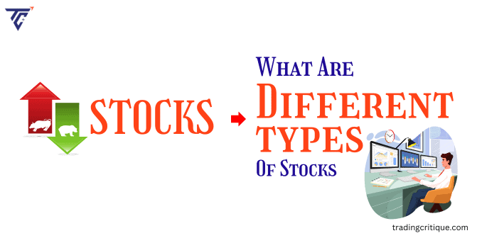 Stock Market Investments