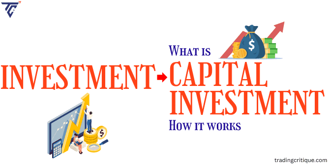 What is Capital Investment and How Does it Work