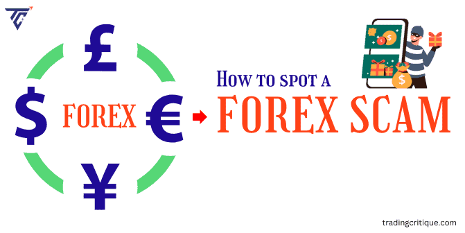 How to Spot a Forex Scams